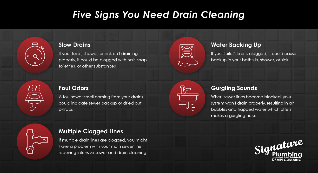 5 Most Common Sewer and Drain Cleaning Problems - Sewer and Drain Cleaning St. Louis